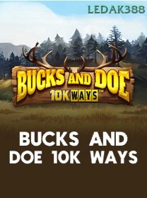 Bucks And Doe 10K Ways